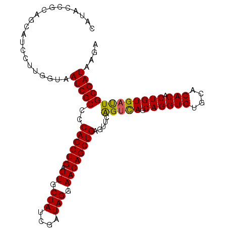 secondary structure