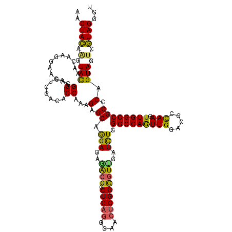 secondary structure