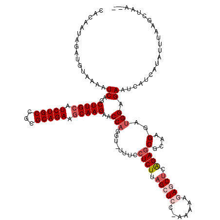 secondary structure