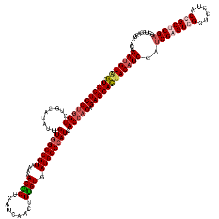 secondary structure