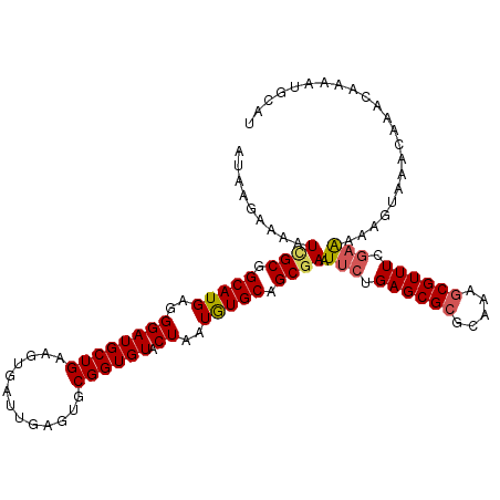 secondary structure