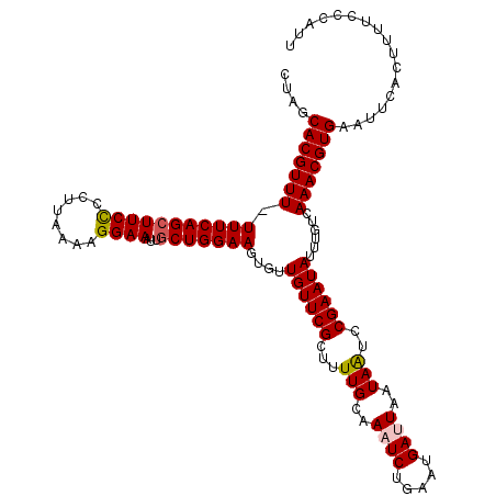 secondary structure