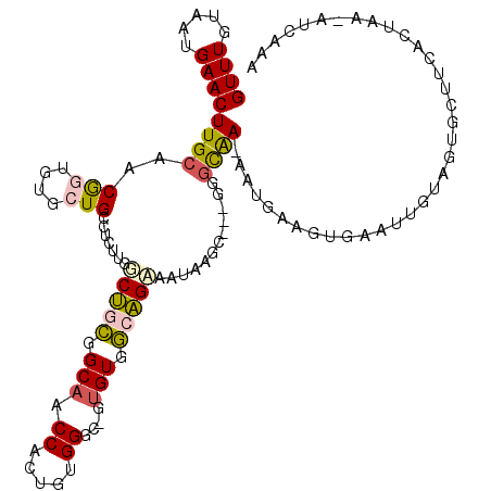 secondary structure