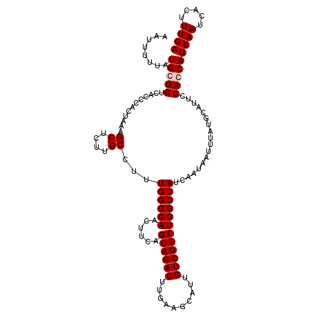 secondary structure