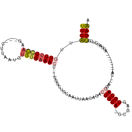 secondary structure