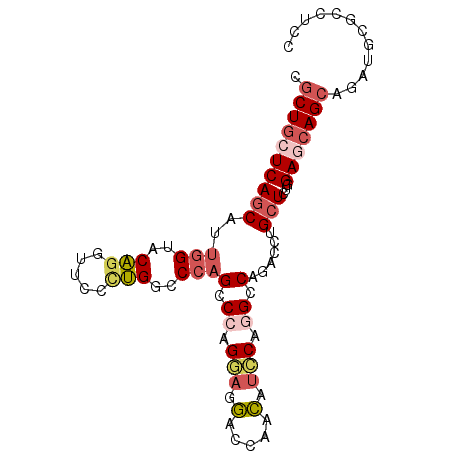 secondary structure