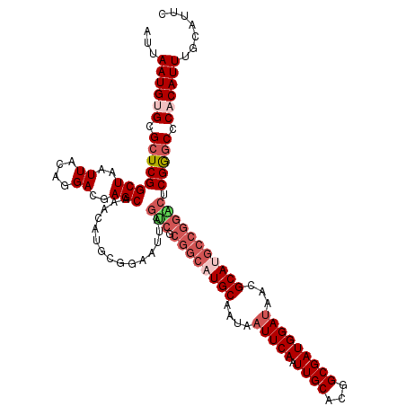 secondary structure