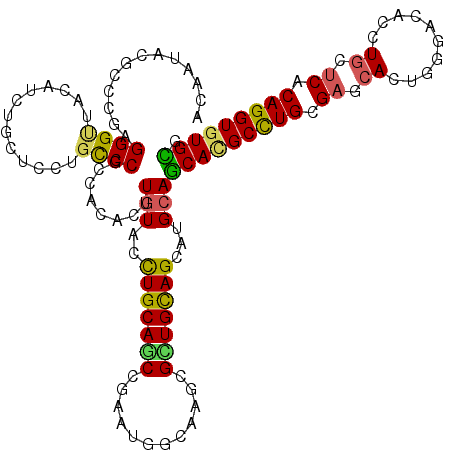 secondary structure