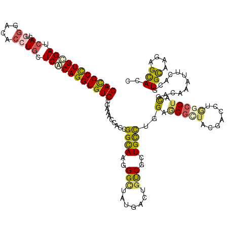 secondary structure