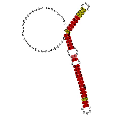 secondary structure