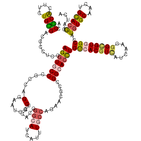 secondary structure