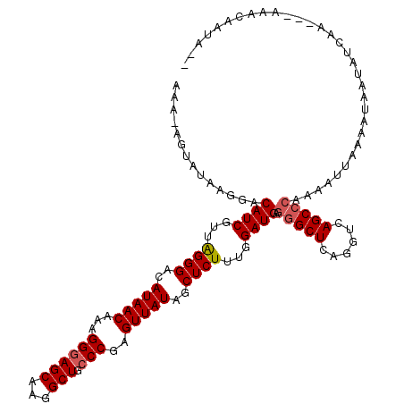 secondary structure