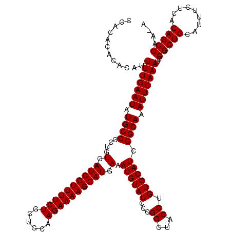 secondary structure