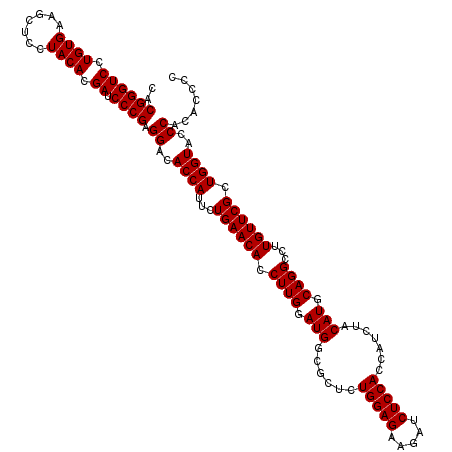 secondary structure