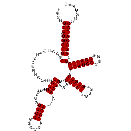 secondary structure