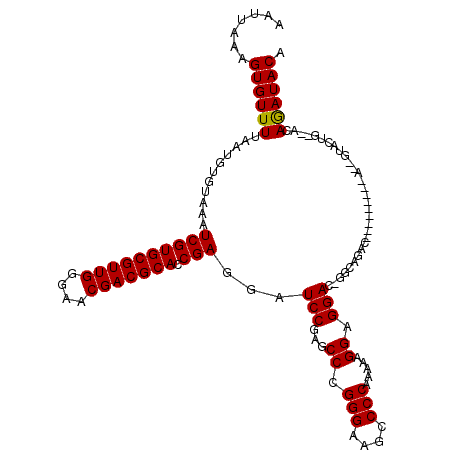 secondary structure