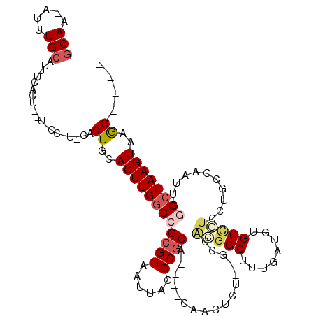 secondary structure