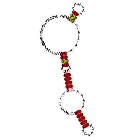 secondary structure