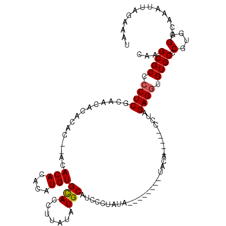 secondary structure