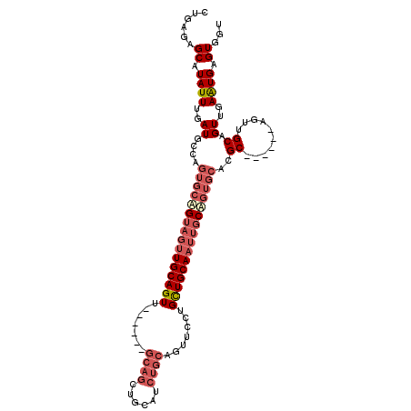 secondary structure