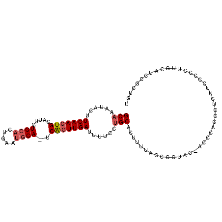 secondary structure