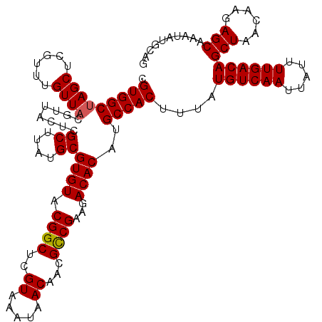 secondary structure