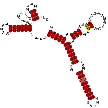 secondary structure