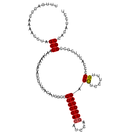 secondary structure