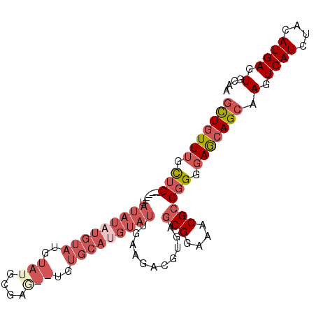 secondary structure