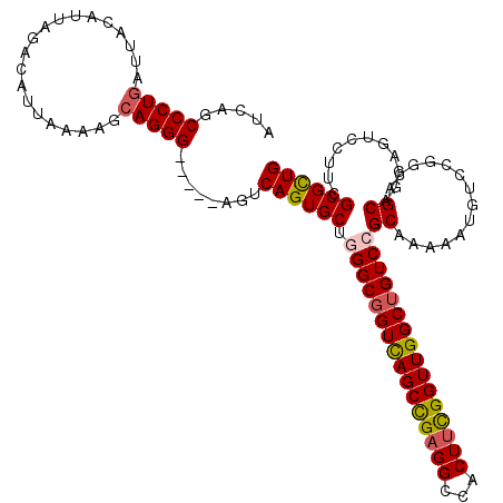 secondary structure