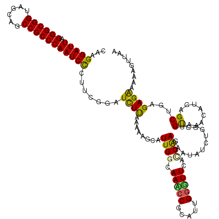secondary structure