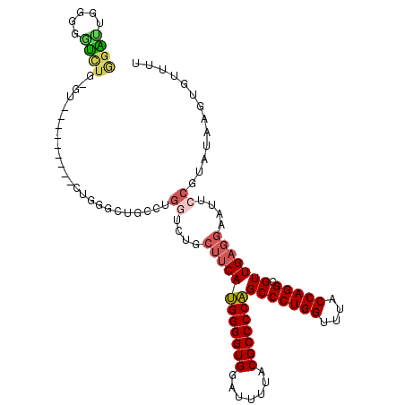 secondary structure