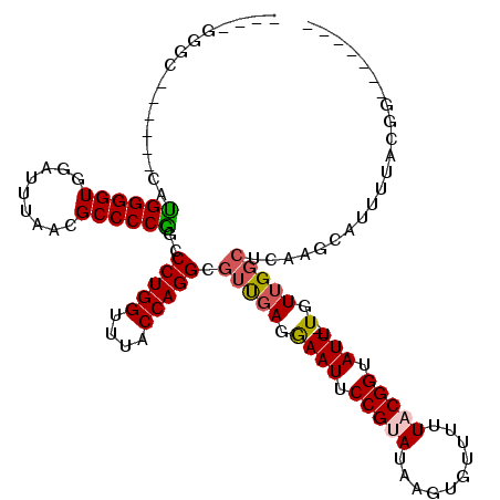 secondary structure