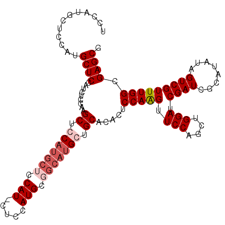 secondary structure