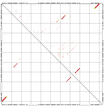 dotplot