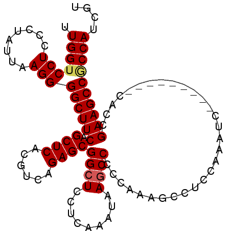 secondary structure