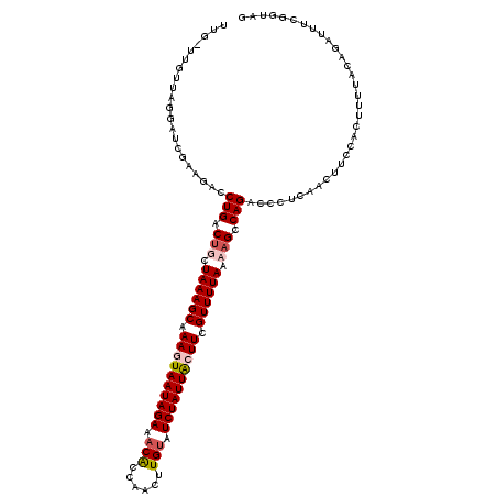 secondary structure
