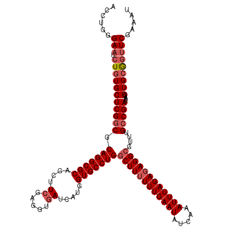 secondary structure