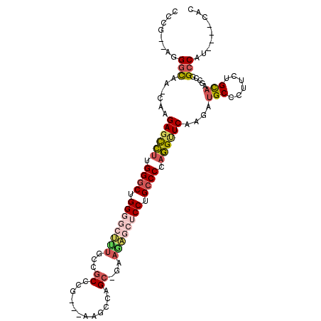 secondary structure