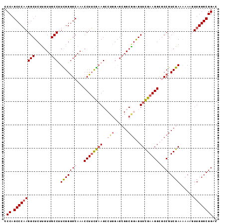 dotplot