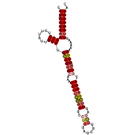 secondary structure