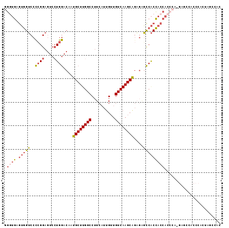 dotplot