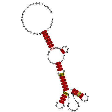 secondary structure
