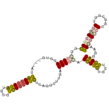 secondary structure