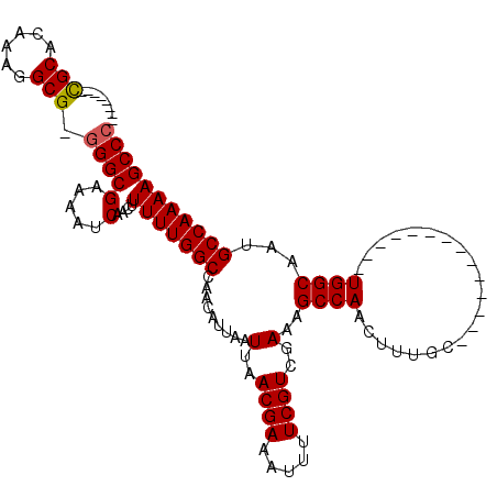 secondary structure