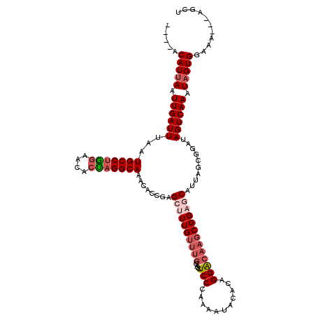 secondary structure