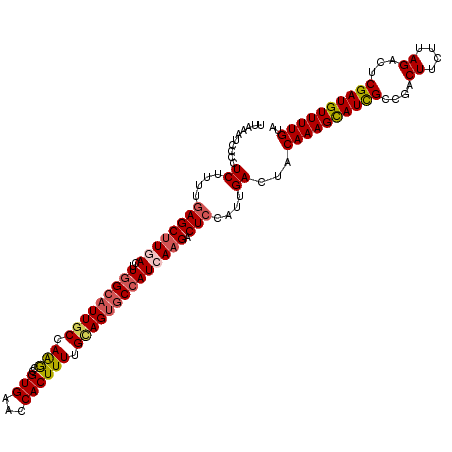 secondary structure