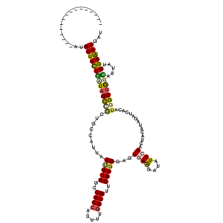 secondary structure