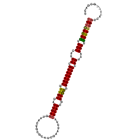 secondary structure