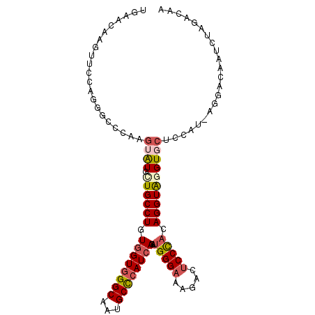 secondary structure